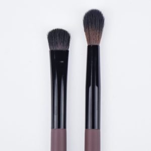 SS| The Eye Brush Set
